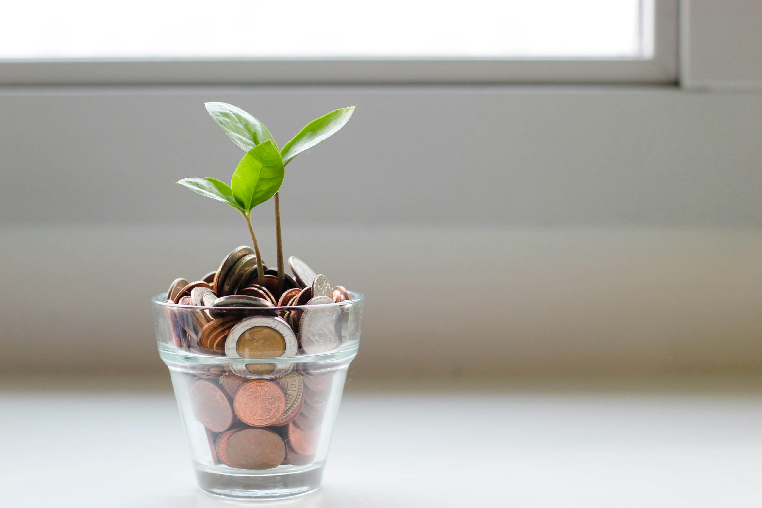 Introducing Our “Manage Your Way to Success” Series
